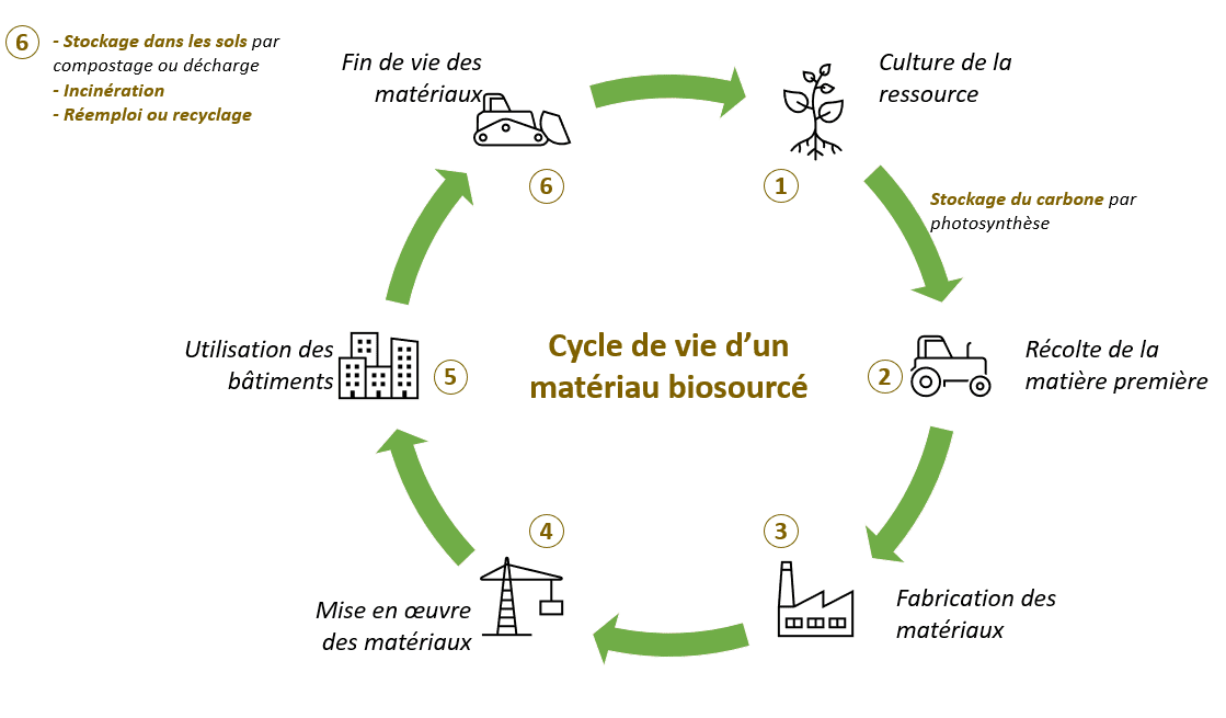 Biocalcification - solidification des sols par bactéries